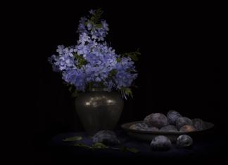 Natürmort /Stilllife Fotoğrafta LightPainting Uygulamaları