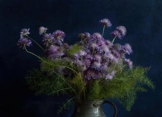 Çevrim İçi Natürmort / Still Life Fotoğraf Uygulamaları