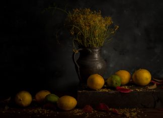Naturmort, Stillife Fotoğraf