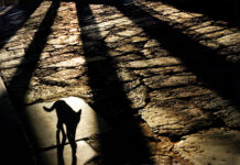 109. Dönem İbrahim Ayşıl ile Hızlandırılmış, Uygulamalı Temel Fotoğraf Semineri