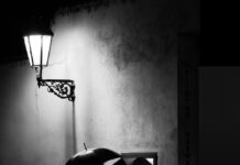 Selaru Ovidiu – Photography Presentation/Discussion