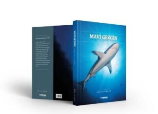 Mavi Gezgin Kitap Tanıtımı – Ateş Evirgen (ERTELEME!)