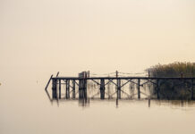 Sade Olanın İzinde “Az Daha Çoktur” Sergisi