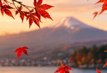 Japonya – Kore Fotoğraf Gezisi